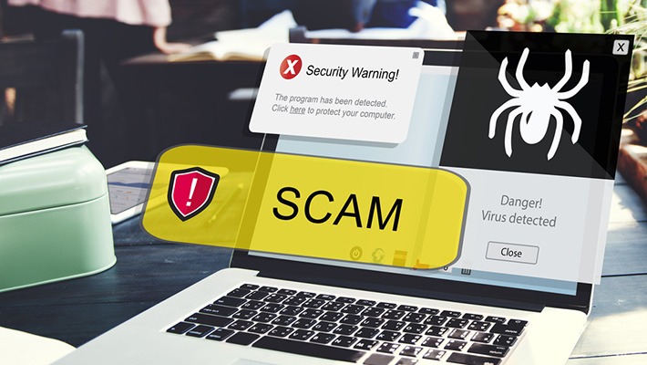 How to spot and report a scam website